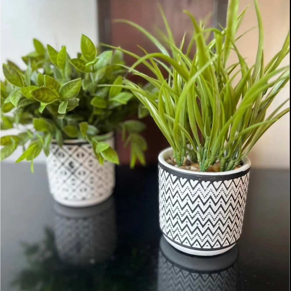 Black and White Patterned Planter Set